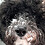 Rhonda_Brown