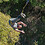 Robert_l